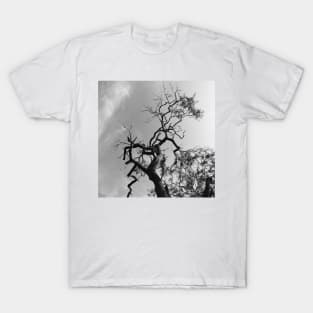 Old Spooky Bare Tree Branches T-Shirt